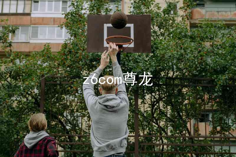 z6com尊龙