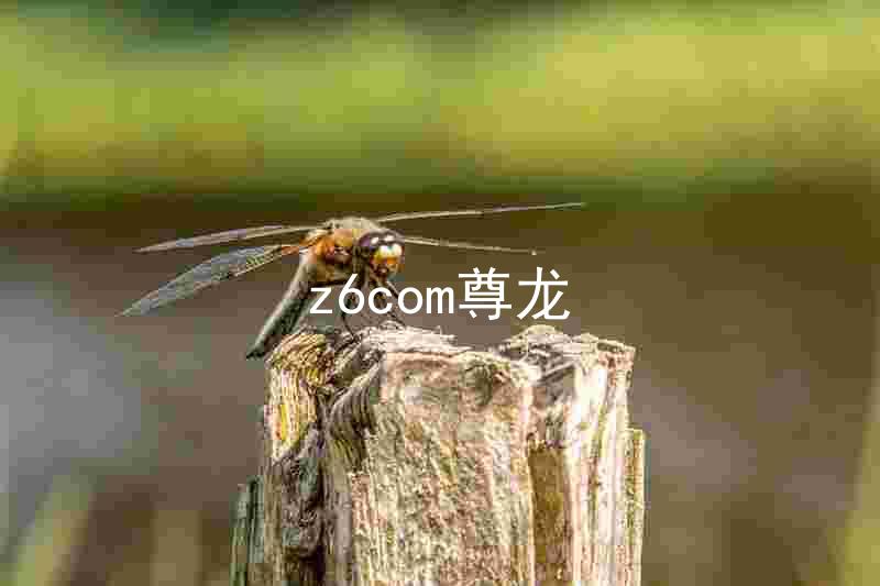 z6com尊龙