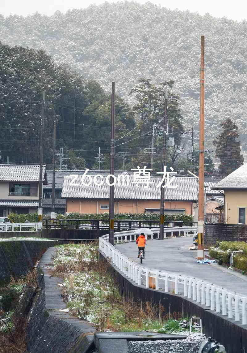 z6com尊龙