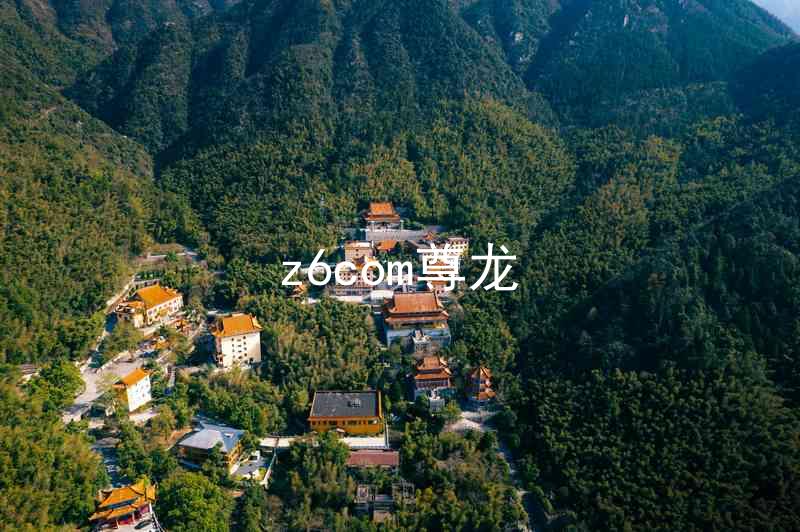 z6com尊龙