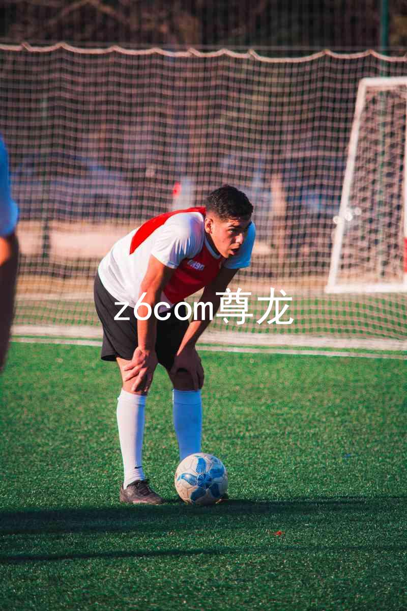 z6com尊龙